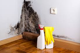 Best Asbestos and Lead Testing During Mold Inspection  in Basehor, KS